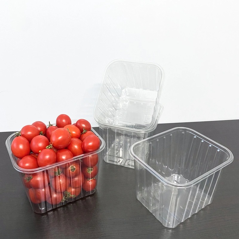 How to Choose the Right Plastic Food Tray for Different Food Applications
